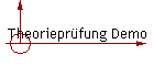 Theorieprfung Demo